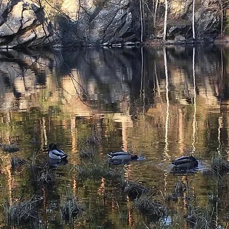 Casino Islands Upstairs * Savonlinna